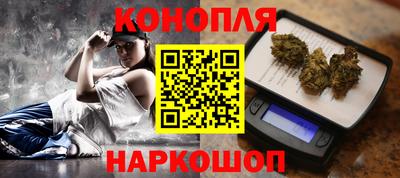 стафф Будённовск