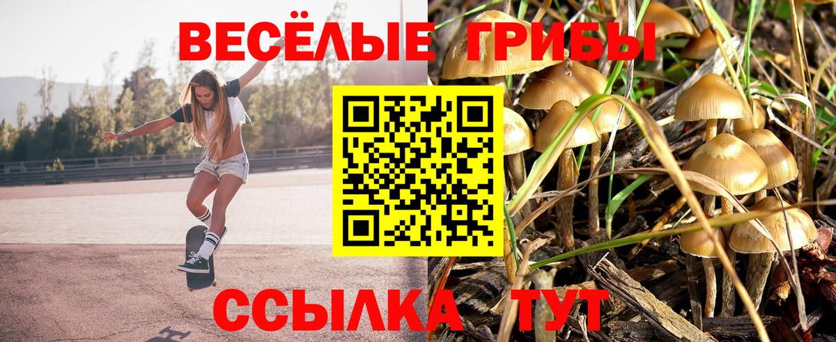 Галлюциногенные грибы ЛСД Мончегорск